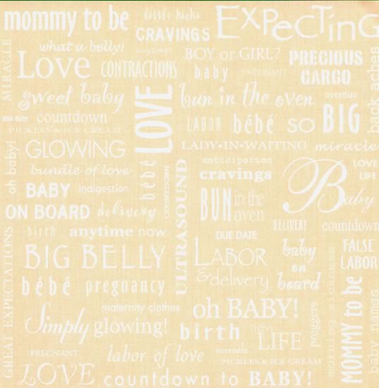 Expecting Baby Words Paper, SandyLion image 0