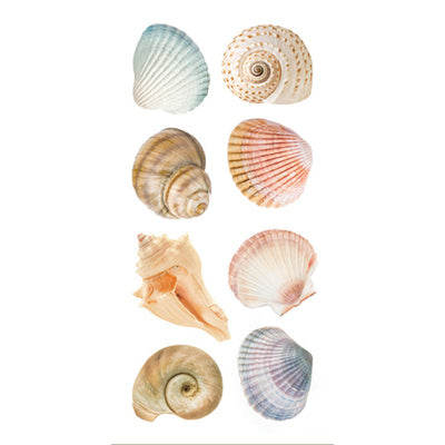 Sea Shells 2" Clear Stickers - Paper House image 0