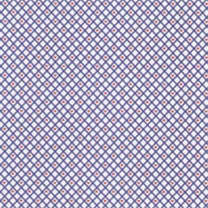 Blue Gingham/Red Hearts Paper - The Paper Patch image 0