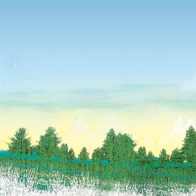 In the Woods A Paper - Carolees Creations/Adornit image 0