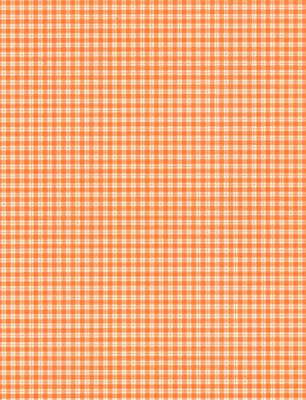 Burnt Orange Small Plaid Paper 8 1/2 X 11 / Paper Patch image 0