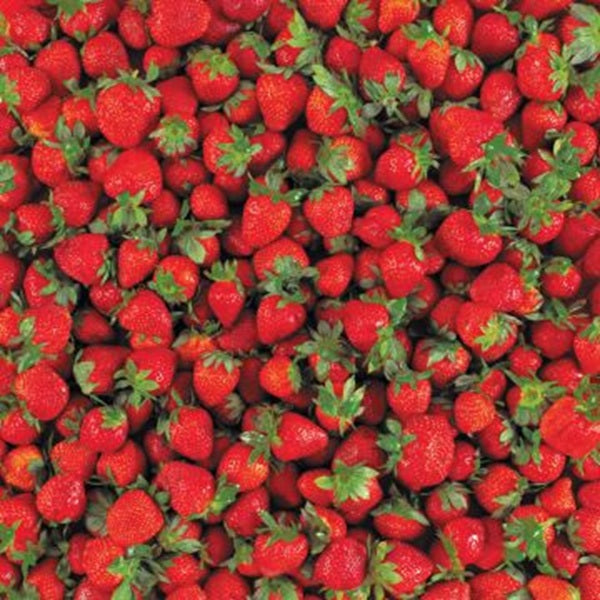 Yummy Strawberries Paper - Hot Off the Press