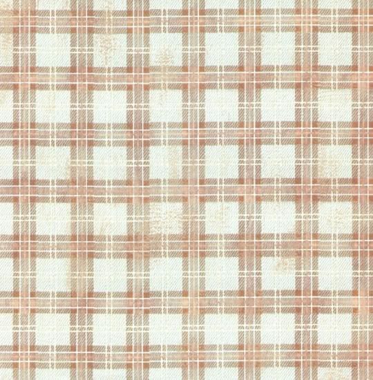 Uniform Plaid Paper - Carolees Creation image 0
