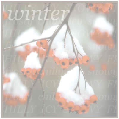 Winter Paper/Jeffrey Keesee - Carolees Creation image 0