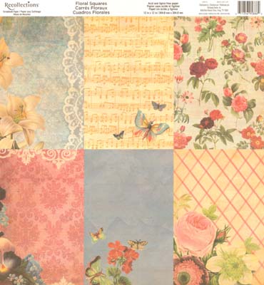 Floral Squares 12x12 Paper / Recollections image 0