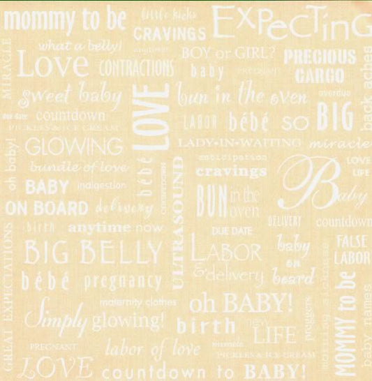 Expecting Baby Words Paper, SandyLion image 0