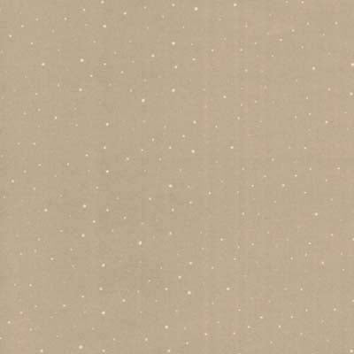 Wheat Speckle Country Collection Paper - Ivy Cottage image 0