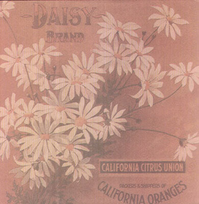 Daisy Brand Paper image 0