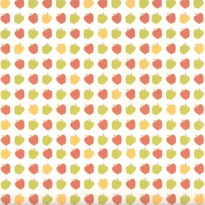 Teacher's Pet Frost/Shimmer Paper - KI Memories image 0