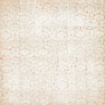 Timeless Parchment Paper - Carolees Creation image 0