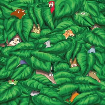 Diego Forest Eyes Paper, Sandylion image 0