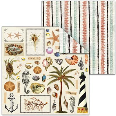 Shell Seeker Double-Sided Paper - Splash of Color image 0
