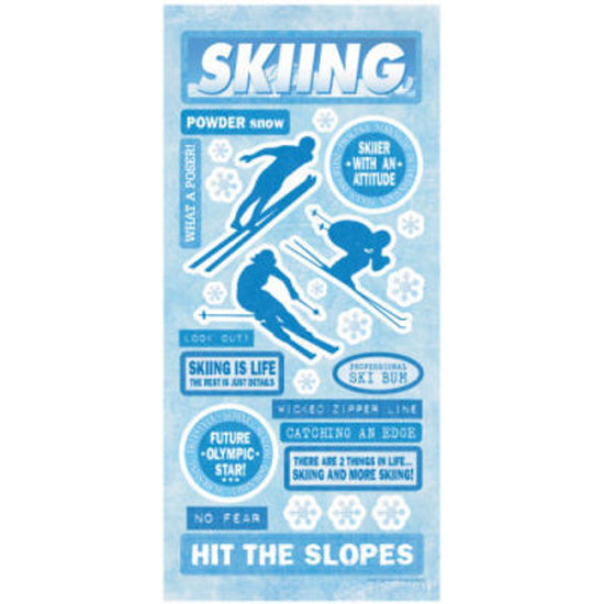 Skiing Sticker, Sandylion image 0