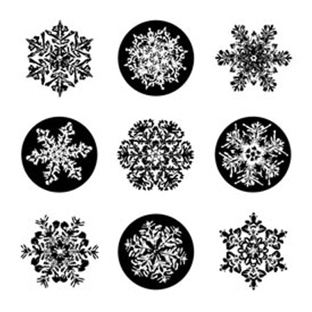 9 Snowflake Clear Inchie Stamps Plus Stamp Block / Inkadinkado image 0