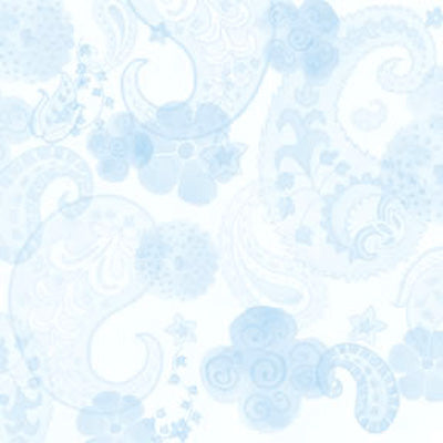 Light Blue Paisley Paper, SandyLion image 0