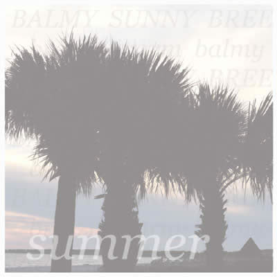Summer Paper/Jeffrey Keesee - Carolees Creations/Adornit image 0