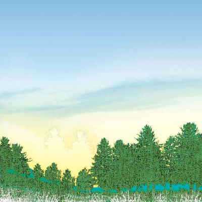 In the Woods B Paper - Carolees Creations/Adornit image 0