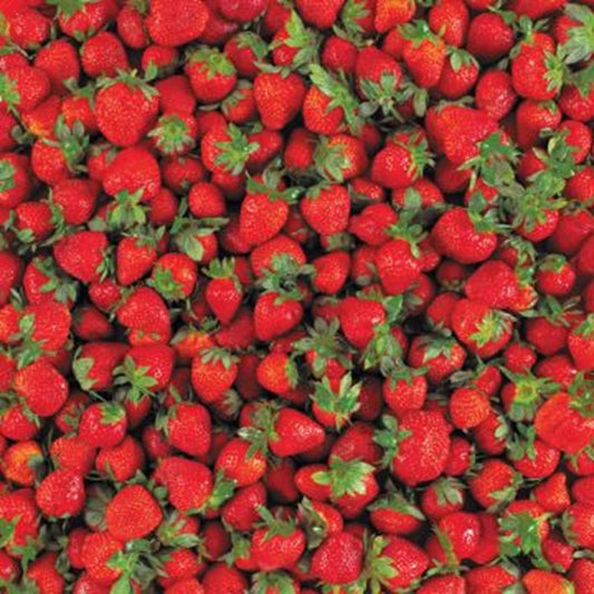 Yummy Strawberries Paper - Hot Off the Press