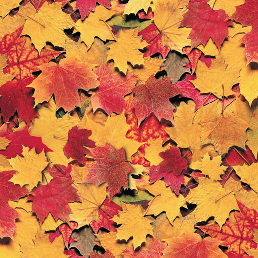 Fall Leaves Paper - Hot Off the Press image 0