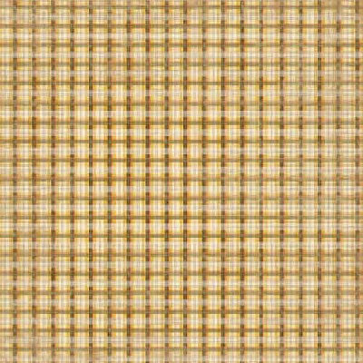 Back to Nature Plaid Paper - Carolees Creations/Adornit image 0
