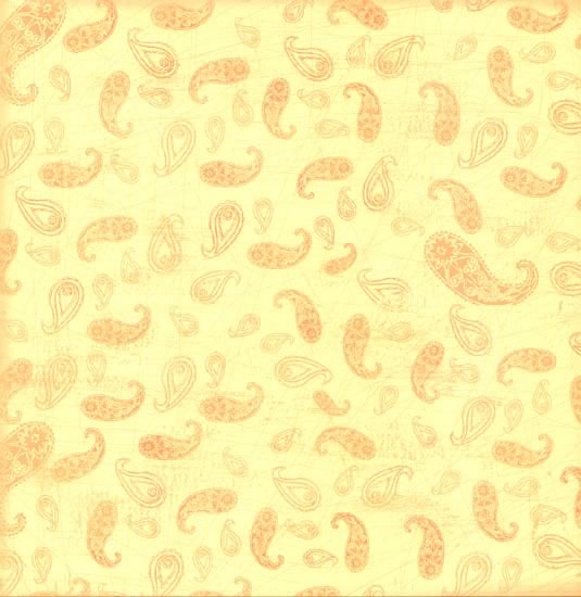 Pretty in Paisley Paper - Carolees Creaioin image 0
