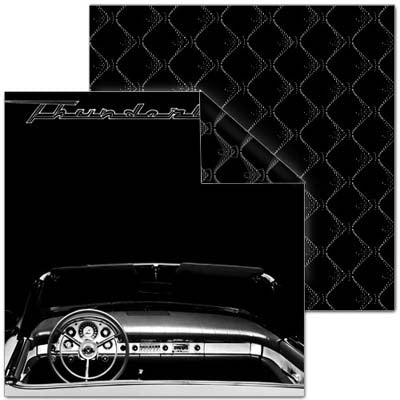 Tbird Interior Double-Sided Paper - Creative Imaginations image 0